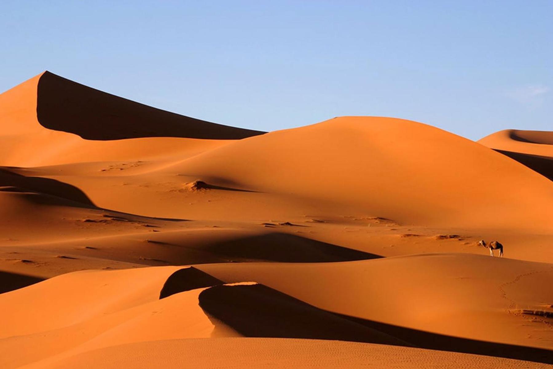 Desert Chegaga Luxury Camp El Gouera Luaran gambar